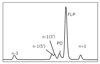 Efficient Method Development of Oligonucleotides by Reversed-Phase Ion-Pair Chromatography