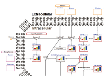 Multi-omics